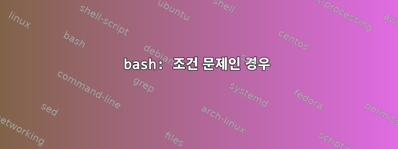 bash: 조건 문제인 경우