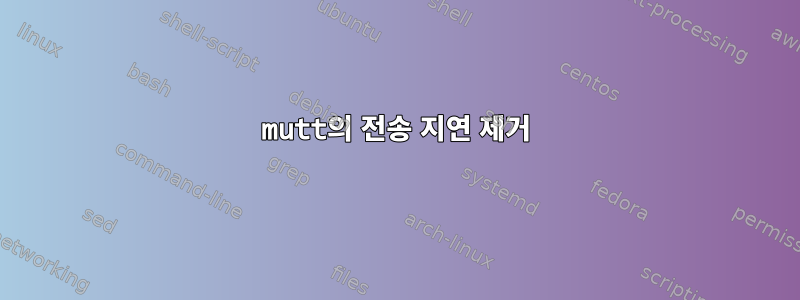 mutt의 전송 지연 제거