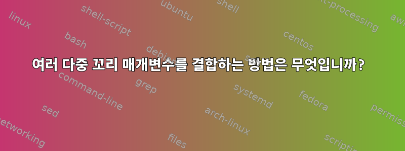 여러 다중 꼬리 매개변수를 결합하는 방법은 무엇입니까?