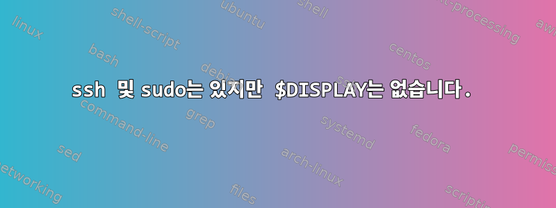 ssh 및 sudo는 있지만 $DISPLAY는 없습니다.