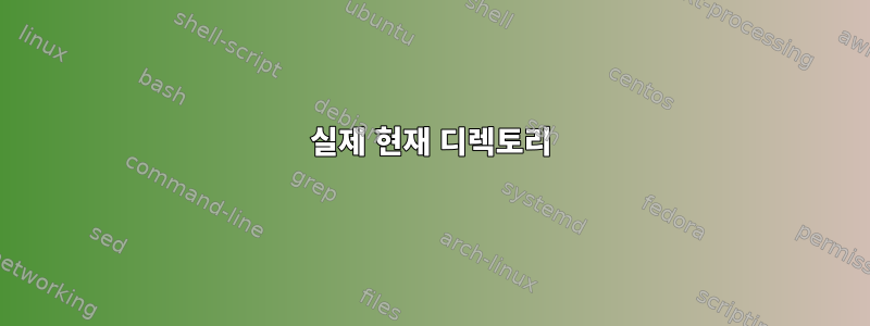 실제 현재 디렉토리