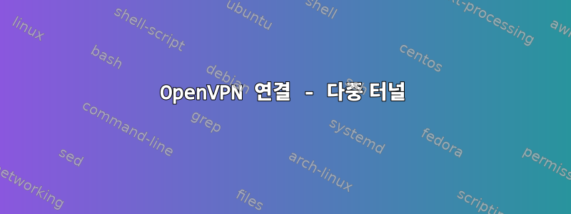 OpenVPN 연결 - 다중 터널