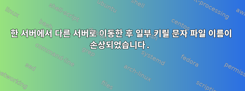 한 서버에서 다른 서버로 이동한 후 일부 키릴 문자 파일 이름이 손상되었습니다.