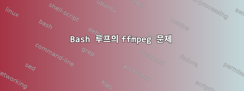 Bash 루프의 ffmpeg 문제