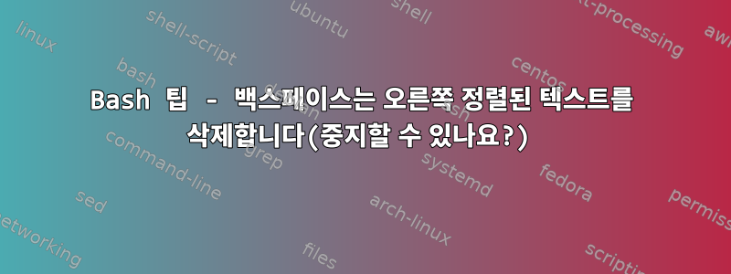 Bash 팁 - 백스페이스는 오른쪽 정렬된 텍스트를 삭제합니다(중지할 수 있나요?)