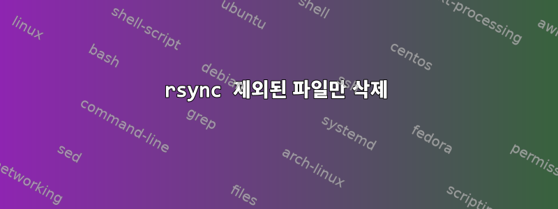 rsync 제외된 파일만 삭제