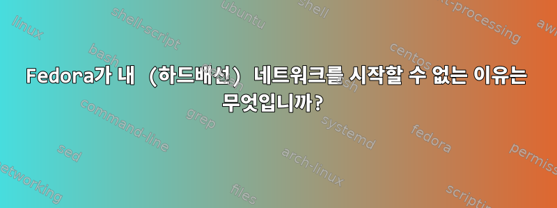 Fedora가 내 (하드배선) 네트워크를 시작할 수 없는 이유는 무엇입니까?