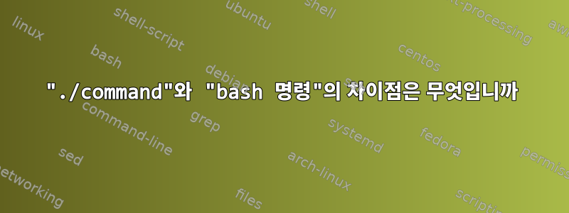 "./command"와 "bash 명령"의 차이점은 무엇입니까