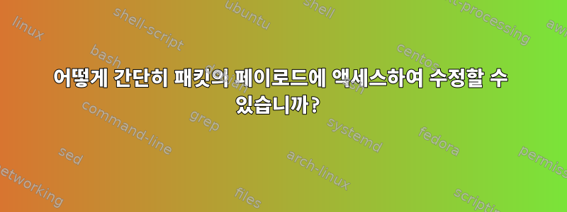 어떻게 간단히 패킷의 페이로드에 액세스하여 수정할 수 있습니까?