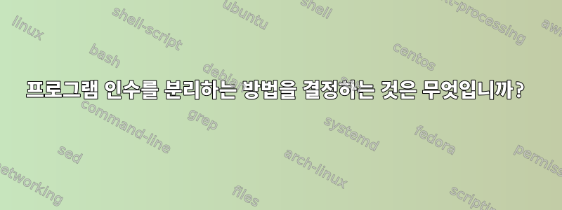 프로그램 인수를 분리하는 방법을 결정하는 것은 무엇입니까?