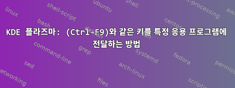 KDE 플라즈마: (Ctrl-F9)와 같은 키를 특정 응용 프로그램에 전달하는 방법