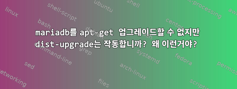 mariadb를 apt-get 업그레이드할 수 없지만 dist-upgrade는 작동합니까? 왜 이런거야?