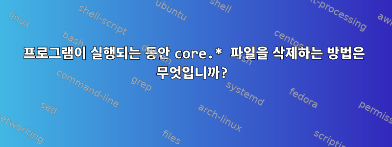 프로그램이 실행되는 동안 core.* 파일을 삭제하는 방법은 무엇입니까?