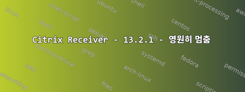 Citrix Receiver - 13.2.1 - 영원히 멈춤