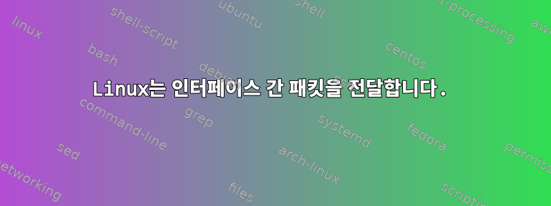 Linux는 인터페이스 간 패킷을 전달합니다.