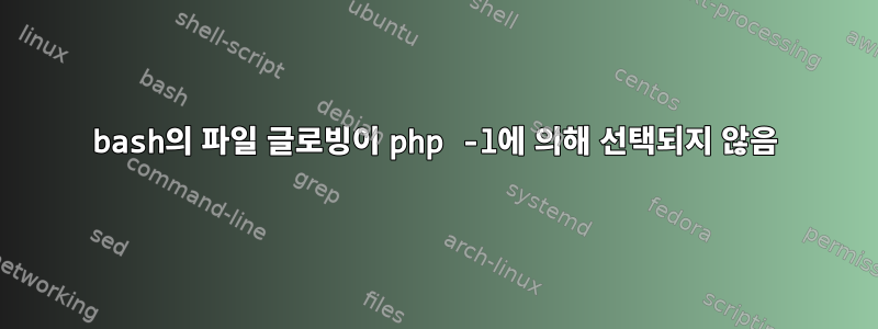 bash의 파일 글로빙이 php -l에 의해 선택되지 않음