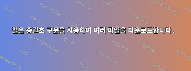 컬은 중괄호 구문을 사용하여 여러 파일을 다운로드합니다.