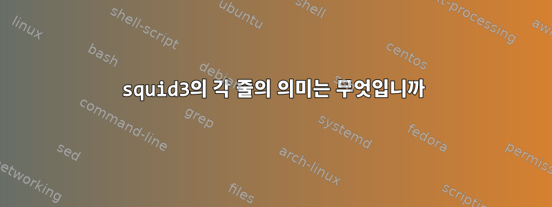 squid3의 각 줄의 의미는 무엇입니까