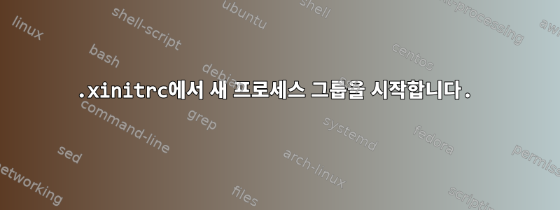 .xinitrc에서 새 프로세스 그룹을 시작합니다.