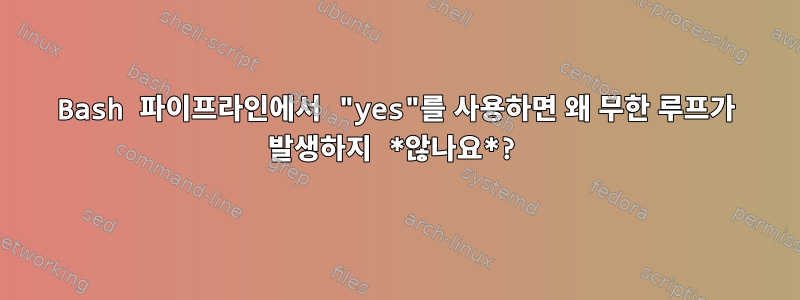 Bash 파이프라인에서 "yes"를 사용하면 왜 무한 루프가 발생하지 *않나요*?