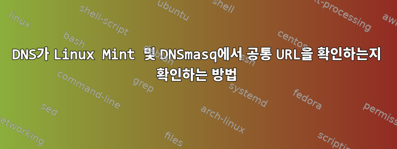 DNS가 Linux Mint 및 DNSmasq에서 공통 URL을 확인하는지 확인하는 방법