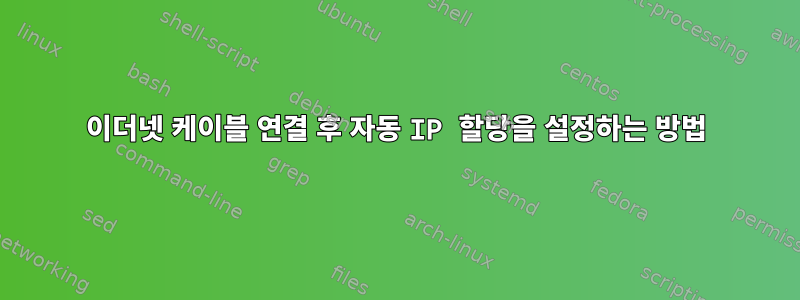 이더넷 케이블 연결 후 자동 IP 할당을 설정하는 방법