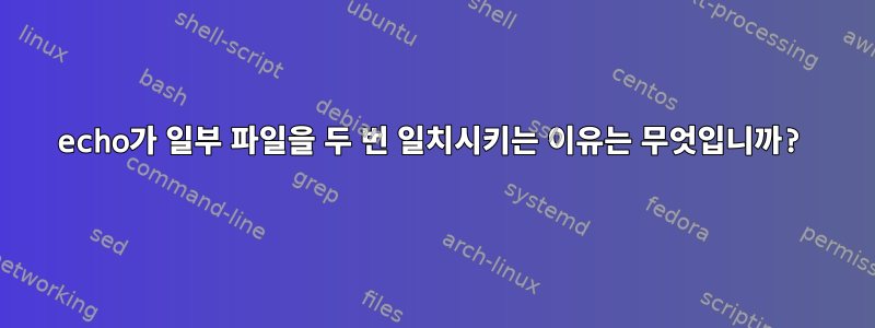 echo가 일부 파일을 두 번 일치시키는 이유는 무엇입니까?