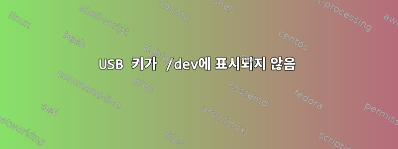 USB 키가 /dev에 표시되지 않음