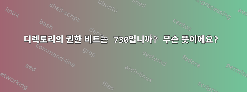 디렉토리의 권한 비트는 730입니까? 무슨 뜻이에요?