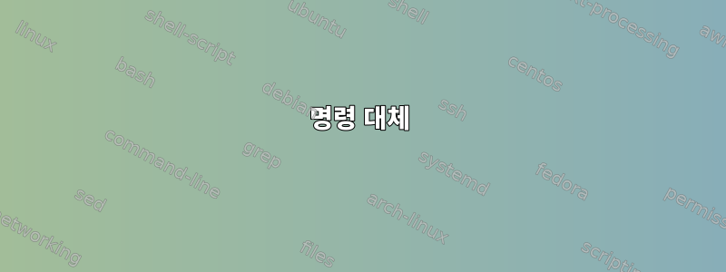 명령 대체