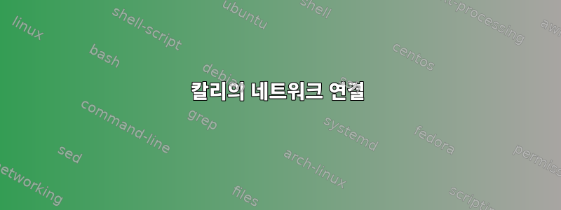 칼리의 네트워크 연결