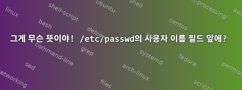 그게 무슨 뜻이야! /etc/passwd의 사용자 이름 필드 앞에?