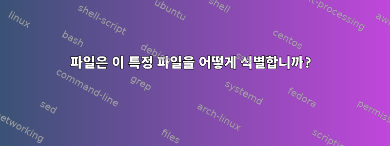 파일은 이 특정 파일을 어떻게 식별합니까?