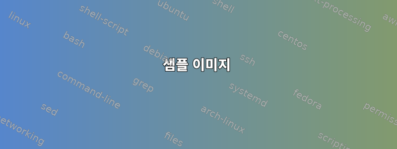 샘플 이미지