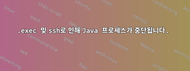 .exec 및 ssh로 인해 Java 프로세스가 중단됩니다.