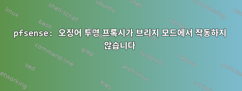 pfsense: 오징어 투명 프록시가 브리지 모드에서 작동하지 않습니다