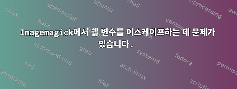 Imagemagick에서 쉘 변수를 이스케이프하는 데 문제가 있습니다.