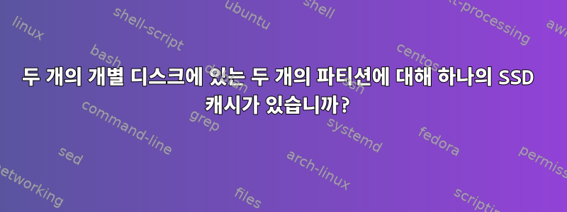 두 개의 개별 디스크에 있는 두 개의 파티션에 대해 하나의 SSD 캐시가 있습니까?