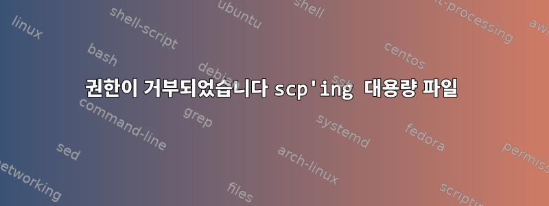 권한이 거부되었습니다 scp'ing 대용량 파일