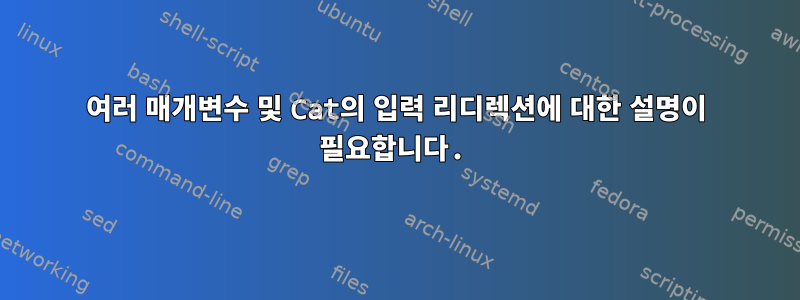 여러 매개변수 및 Cat의 입력 리디렉션에 대한 설명이 필요합니다.