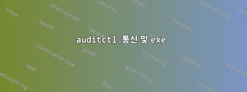 auditctl 통신 및 exe