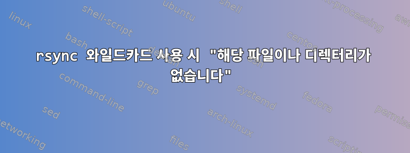 rsync 와일드카드 사용 시 "해당 파일이나 디렉터리가 없습니다"