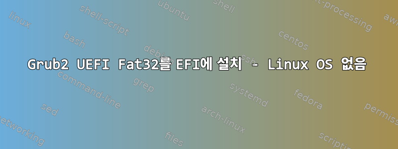 Grub2 UEFI Fat32를 EFI에 설치 - Linux OS 없음