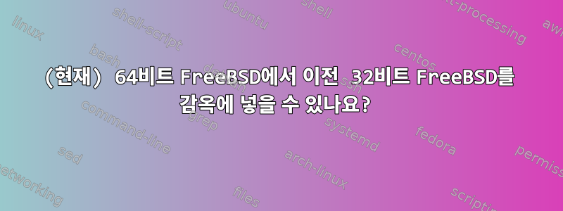 (현재) 64비트 FreeBSD에서 이전 32비트 FreeBSD를 감옥에 넣을 수 있나요?