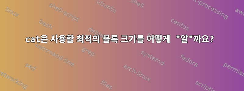 cat은 사용할 최적의 블록 크기를 어떻게 "알"까요?