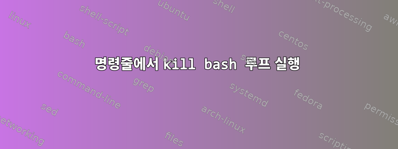 명령줄에서 kill bash 루프 실행