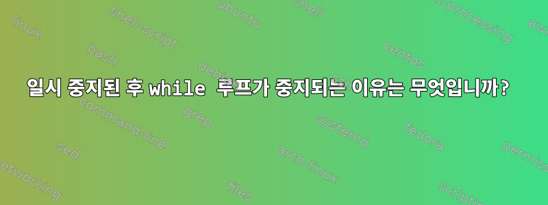 일시 중지된 후 while 루프가 중지되는 이유는 무엇입니까?