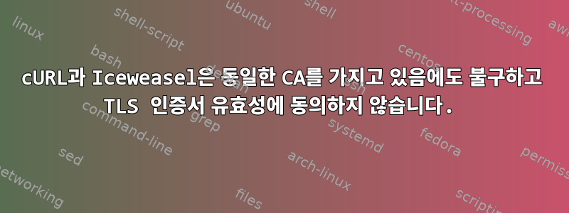 cURL과 Iceweasel은 동일한 CA를 가지고 있음에도 불구하고 TLS 인증서 유효성에 동의하지 않습니다.