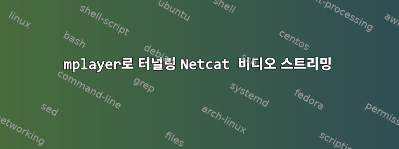 mplayer로 터널링 Netcat 비디오 스트리밍