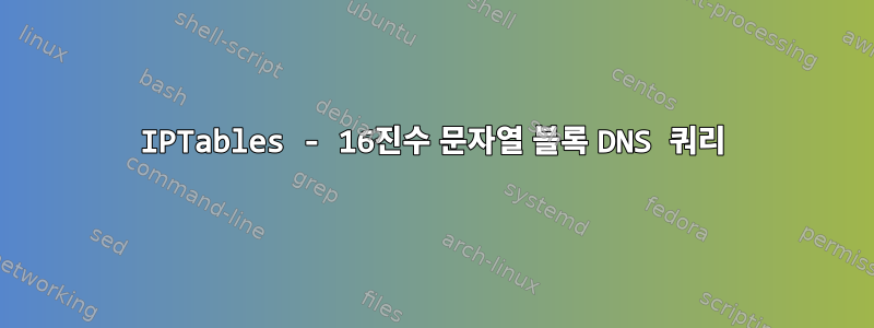 IPTables - 16진수 문자열 블록 DNS 쿼리